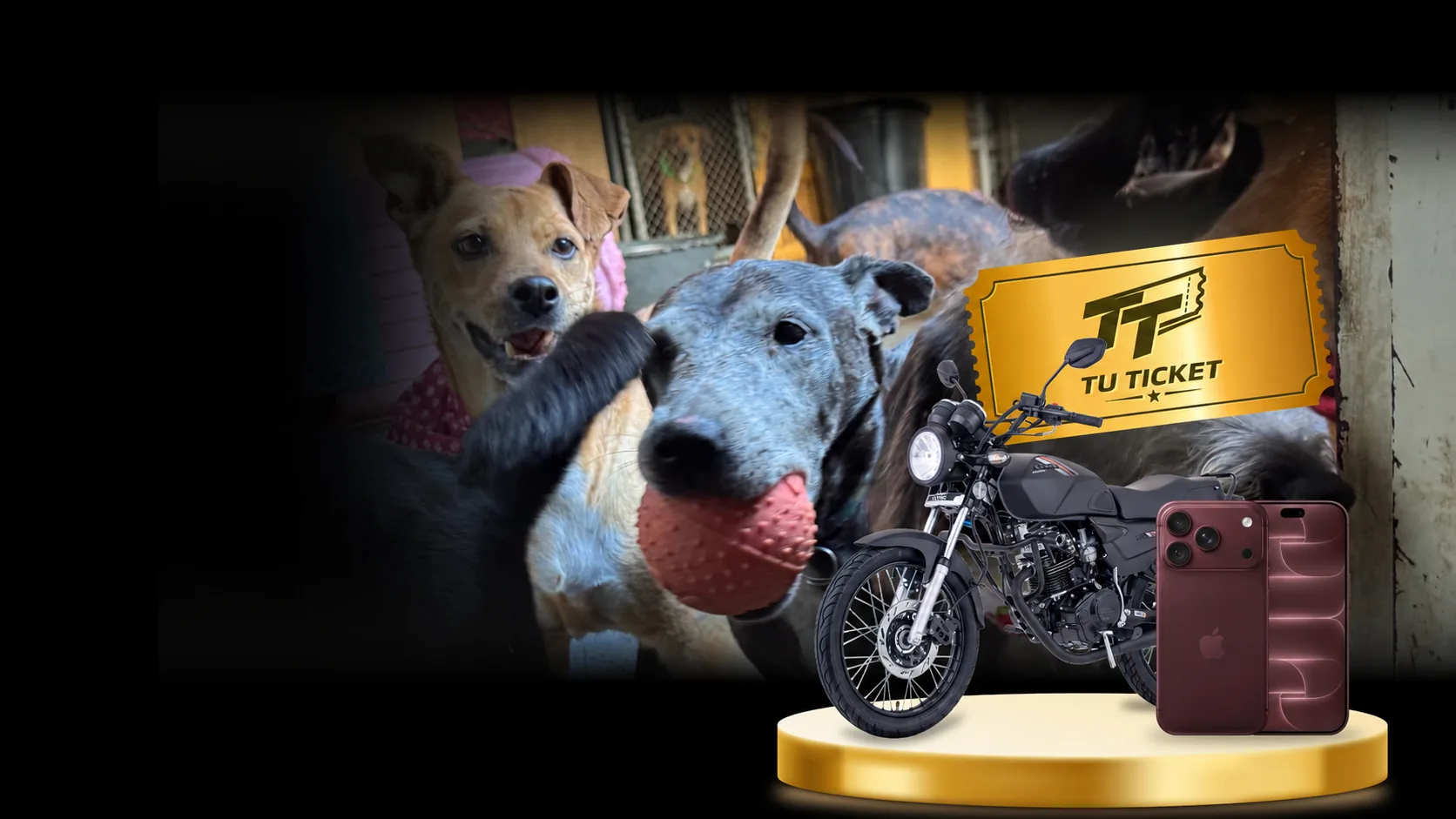 Drop TuTicket: NKD 125 modelo 2027 e iPhone 18 Pro Max con causa animal